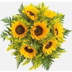 ΗΛΙΟΤΡΟΠΙΑ ΑΝΘΟΔΕΣΜΗ