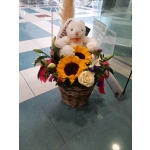 ΑΝΟΙΞΙΑΤΙΚΗ ΕΥΩΔΙΑ