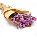 ΑΜΑΡΑΝΤΟΣ Ή ΠΡΟΒΑΤΣΙΑ