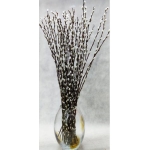 ΒΑΜΒΑΚΙ ΒΕΡΓΕΣ (ΣΑΛΙΞ)