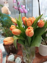 ΑΝΘΟΔΕΣΜΗ ΜΕ 10 ΤΟΥΛΙΠΕΣ - Image 2