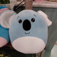 ΜΑΞΙΛΑΡΑΚΙ ΖΩΑΚΙ