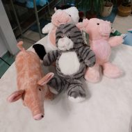 ΔΙΑΦΟΡΑ ΖΩΑΚΙΑ