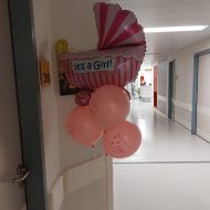 ΣΥΝΘΕΣΗ ΚΑΡΟΤΣΙ ΡΟΖ - Image 2