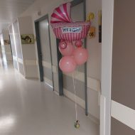 ΣΥΝΘΕΣΗ ΚΑΡΟΤΣΙ ΡΟΖ