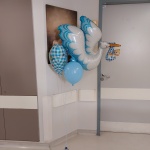 ΣΥΝΘΕΣΗ ΜΠΑΛΟΝΙΩΝ ΠΕΛΑΡΓΟΣ