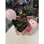 ΣΥΝΘΕΣΗ ΓΙΑ ΚΟΡΙΤΣΙ ΣΕ ΒΑΛΙΤΣΑΚΙ