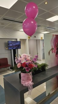 ΣΥΝΘΕΣΗ ΜΕ ΑΡΚΟΥΔΑΚΙ - Image 2