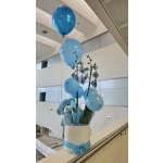 ΜΠΛΕ ΟΝΕΙΡΟ