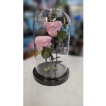 FOREVER ΔΙΠΛΟ ΡΟΖ