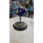 FOREVER ΜΠΛΕ ΤΡΙΑΝΤΑΦΥΛΛΟ ΚΟΤΣΑΝΙ