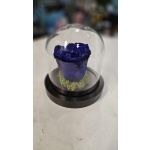 FOREVER ΤΡΙΑΝΤΑΦΥΛΛΟ ΜΠΛΕ