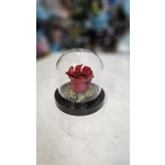 FOREVER ΚΟΚΚΙΝΟ