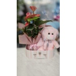 ΒΑΛΙΤΣΑΚΙ ΡΟΖ