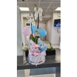 ΣΥΝΘΕΣΗ ΓΙΑ ΔΙΔΥΜΑ