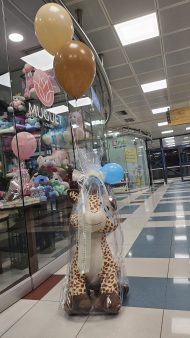 ΚΑΜΗΛΟΠΑΡΔΑΛΗ - Image 2