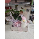 Συνθεση με ανθουριο και πιγκουινο