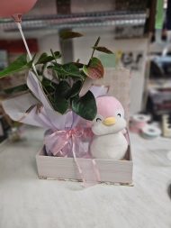 Συνθεση με ανθουριο και πιγκουινο