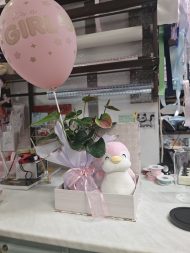 Συνθεση με ανθουριο και πιγκουινο - Image 2