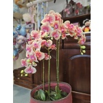 ΤΕΧΝΗΤΗ ΟΡΧΙΔΕΑ