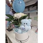 ΣΥΝΘΕΣΗ ΑΡΚΟΥΔΑΚΙ ΣΙΕΛ ΜΕ ΟΡΤΑΝΣΙΑ