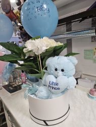 ΣΥΝΘΕΣΗ ΑΡΚΟΥΔΑΚΙ ΣΙΕΛ ΜΕ ΟΡΤΑΝΣΙΑ