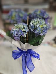 ΟΡΤΑΝΣΙΑ ΜΠΛΕ - Image 2