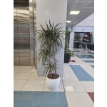 ΜΑΡΤΖΙΝΑΤΑ ΜΕΓΑΛΗ ΤΡΙΠΛΗ