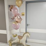 ΚΟΥΝΙΣΤΟ ΑΛΟΓΑΚΙ ΡΟΖ