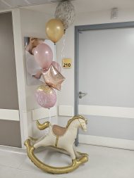 ΚΟΥΝΙΣΤΟ ΑΛΟΓΑΚΙ ΡΟΖ