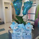 WELCOME TWINS